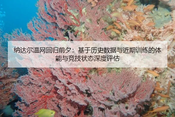 na-da-er-wen-wang-hui-gui-qian-xi-ji-yu-li-shi-shu-ju-yu-jin-qi-xun-lian-de-ti-neng-yu-jing-ji-zhuang-tai-shen-du-ping-2-965.jpg